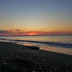 Malvazios #8 *