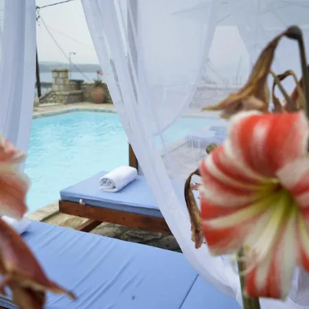 Malvazios #8 Apartmán *