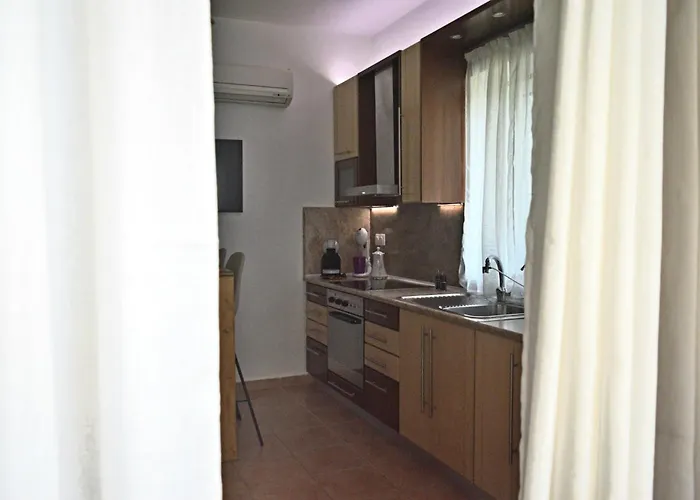 Malvazios #8 * 기티오