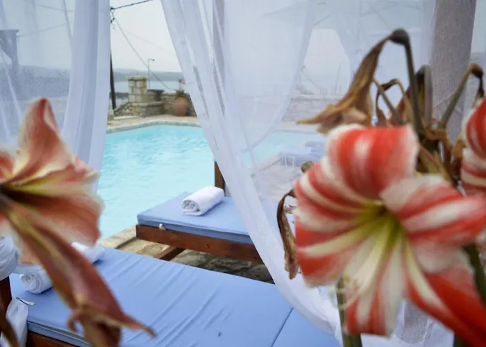 Malvazios #8 Apartment *