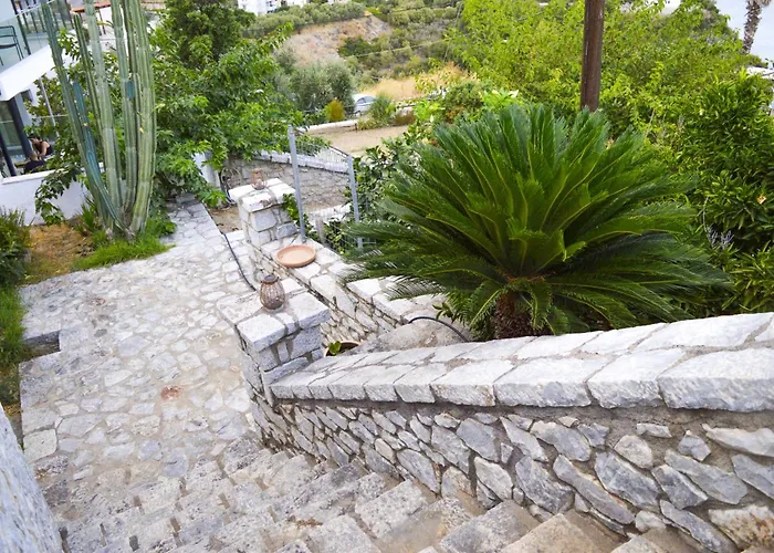 Malvazios #8 * 기티오